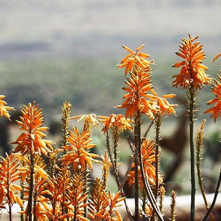 Cortijo El Paraiso Los Escullos Εξωτερικό φωτογραφία
